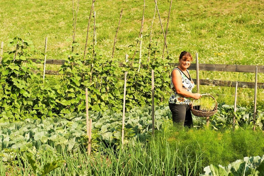 Koflhof Urlaub Auf Dem Bauernhof Farm stay Aldino